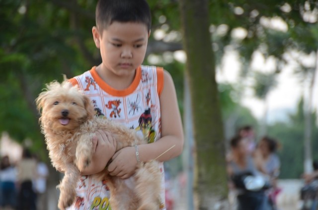 Chú chó trong vòng tay của em nhỏ. Sự gần gũi, yêu thương của 2 “ người bạn”.