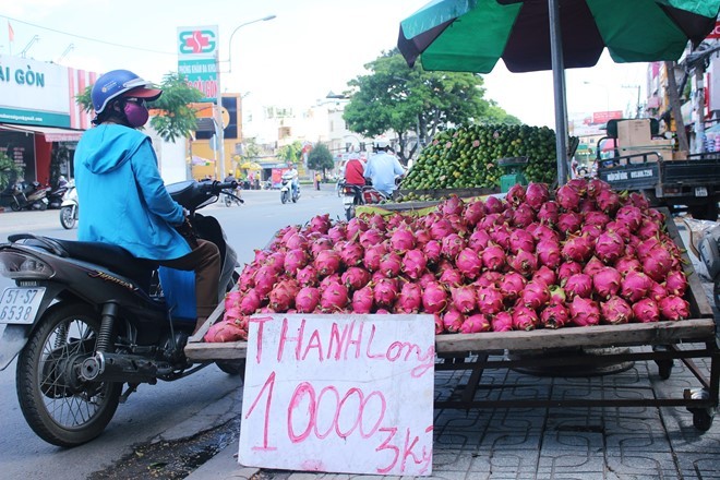 Có thời điểm Thanh long bán tràn lề đường với giá quá rẻ. Ảnh: Phạm Oanh.