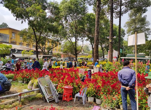 Cảnh mua bán hoa kiểng tấp nập tại chợ hoa công viên 23/9 vào sáng ngày 15/2 (ảnh: P.L)