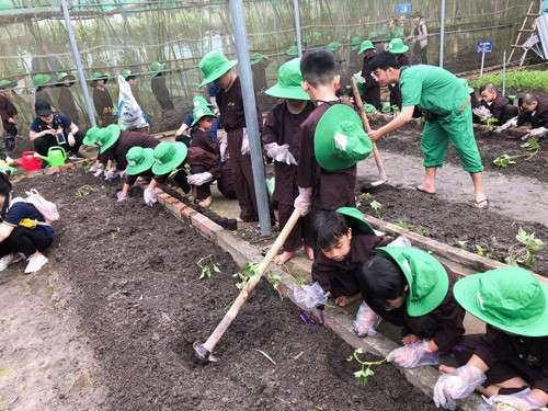 Học sinh tiểu học của Thành phố Hồ Chí Minh tham gia hoạt động trải nghiệm (ảnh: CTV)