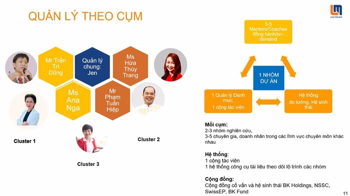 Mô hình quản lý theo cụm.