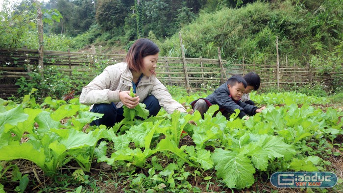 Giáo viên vùng khó vừa kiêm luôn vai trò “cô nuôi” tại điểm bản, vừa kết hợp dạy kỹ năng sống cho học sinh. Ảnh: Mộc Trà.