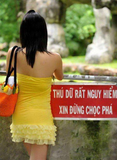 Không nên có những hành động chọc phá thú dữ nhé.