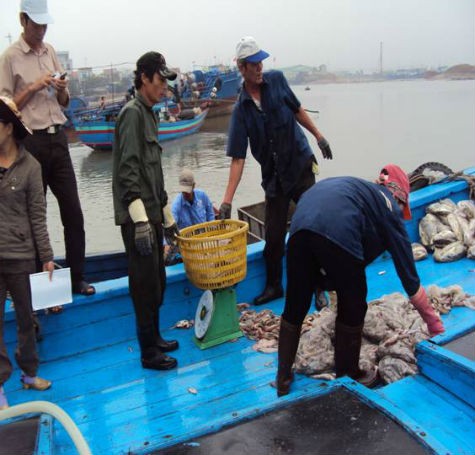 Nơi đây được xem là điểm trung chuyển lớn nhất các loại hải sản đánh bắt được của ngư dân và là nơi thu gom, mua bán của người dân và thương lái quanh vùng.