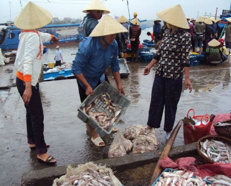 Để thu mua được các loại hải sản tươi và ngon nhất, các lái buôn phải đến đây từ rất sớm mới có thể chọn mua những mẻ hải sản mà mình ưng ý, phong phú đa dạng về chủng loại.