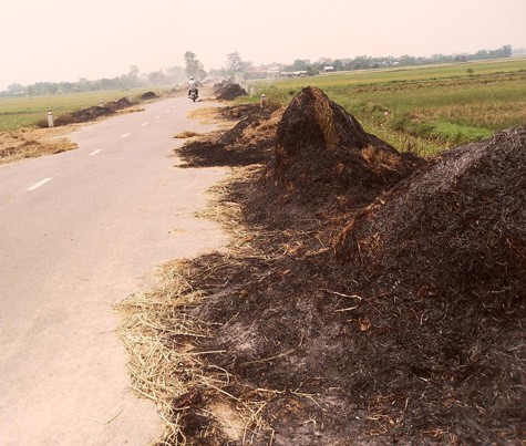 Suốt một quãng đường dài