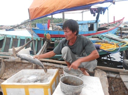 Ông Bốn rớt nước mắt khi nhìn đống cá hàng tấn của ông nuôi lâu nay trong một đêm đã bị chết sạch