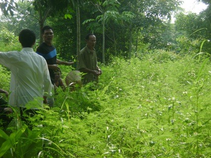 Ông Trần Văn Ngọ 1 trong hai nạn nhân thoát nạn cũng đã có mặt tại hiện trường