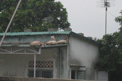 Các hộ dân tại ven biển Quảng Trị cũng đã chẳng chéo nhà cửa, đè bao cát lên mái nhà để sẵn sàng đón bão