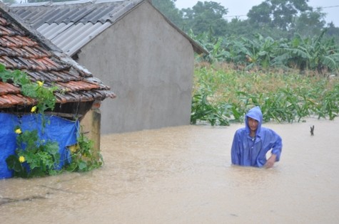 Do mưa lớn kết hợp với việc xả lũ của hồ Vực Mấu 20.000 hộ dân tại thị xã Hoàng Mai đã bị nhấn chìm trong biển nước