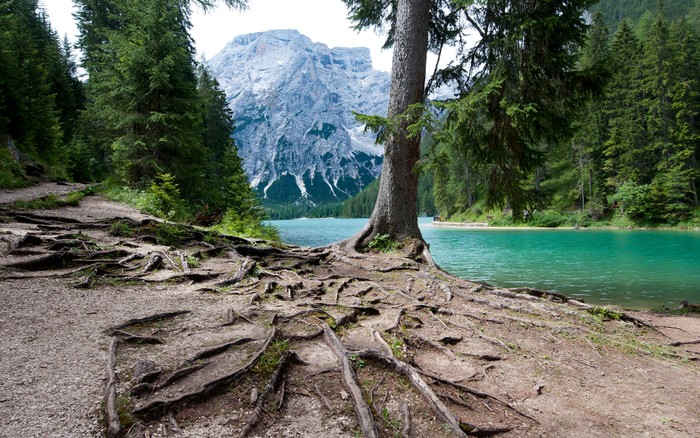 Cảnh tại hồ Lago di Braies nằm trong công viên tự nhiên Fanes-Sennes-Braies miền bắc Italia. Ảnh chụp bởi Nikon D300s, Nikon AF-S NIKKOR 14-24mm f/2.8G ED.