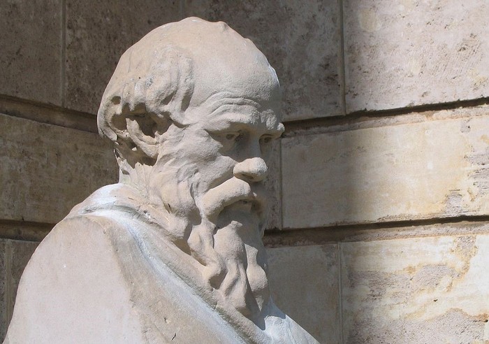 Socrates là một triết gia Hy Lạp cổ đại. Ảnh: Wikipedia.