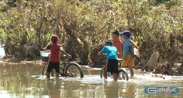 Học sinh lội suối bất chấp nguy hiểm rình rập