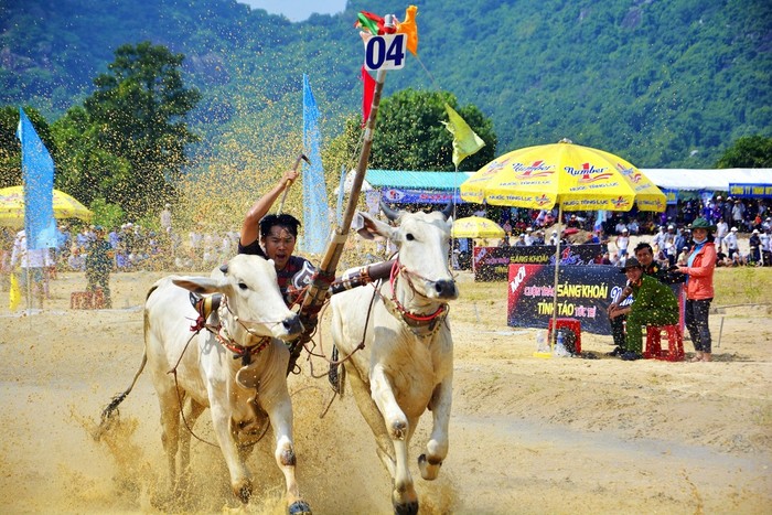 Hội đua bò Bảy Núi An Giang hằng năm được tổ chức trùng vào dịp lễ Sene Dolta (lễ cúng ông bà) của người Khmer Nam Bộ, diễn ra vào cuối tháng 8 đầu tháng 9 âm lịch hàng năm.