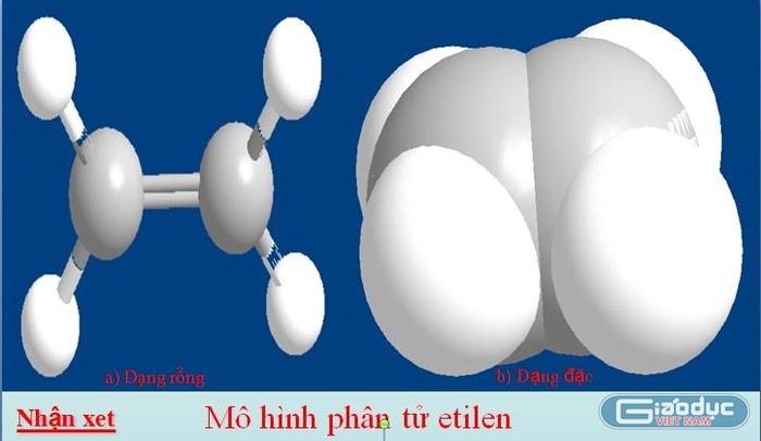 Mô hình phân tử Etylen (Ảnh do tác giả cung cấp)