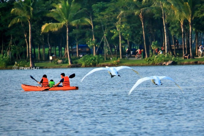 Trước khi dịch bệnh xuất hiện, hồ Thiên Nga trở thành điểm đến yêu thích của nhiều cư dân trong khu đô thị cũng như các tỉnh lân cận. Mọi người đến đây để tận mắt nhìn thấy chim thiên nga và nô đùa cùng chúng.