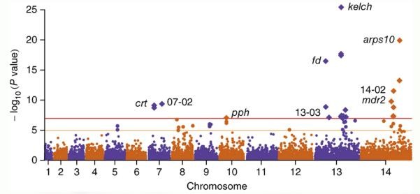 Biểu đồ về tình trạng kháng thuốc Artemisinin (Nguồn: trúc di truyền của Plasmodium falciparum kháng artemisinin, Nature Genetics 47)