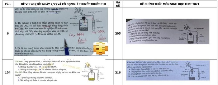 Đề thi do thầy Phan Khắc Nghệ đưa ra trước ngày thi giống với đề thi môn Sinh học trong kỳ thi tốt nghiệp trung học phổ thông năm 2021. (Ảnh trên Laodong.vn)