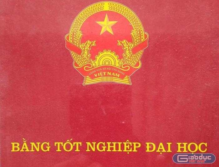 Ảnh minh họa - Tác giả