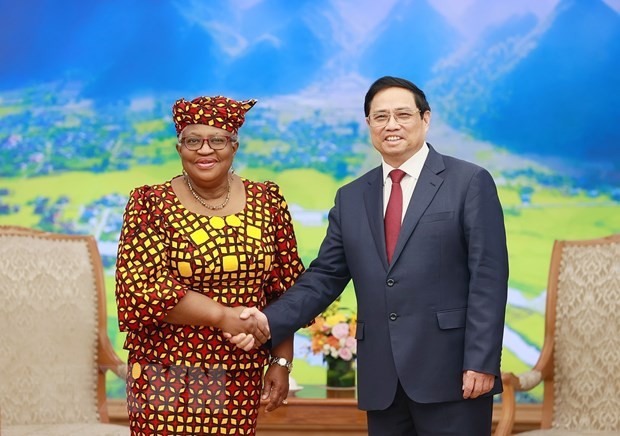 Thủ tướng Phạm Minh Chính tiếp Tổng Giám đốc Tổ chức Thương mại thế giới WTO Ngozi Okonjo-Iweal. (Ảnh: Dương Giang/TTXVN)