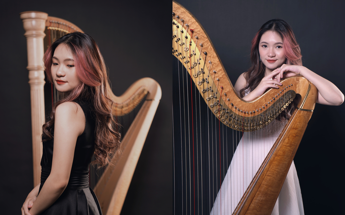 Thuỳ Dương bên cây đàn harp. Ảnh: Nhân vật cung cấp