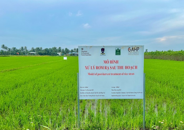 Mô hình “Xử lý rơm rạ sau thu hoạch bằng chế phẩm vi sinh” do Trường Đại học Nguyễn Tất Thành phát triển hướng đến nhiều lợi ích cho người nông dân.