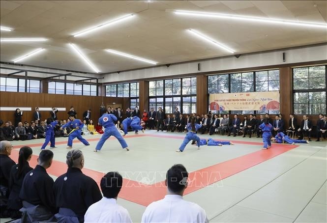 Màn biểu diễn võ Vovinam tại buổi giao lưu võ thuật Việt Nam - Nhật Bản. (Ảnh: TTXVN)