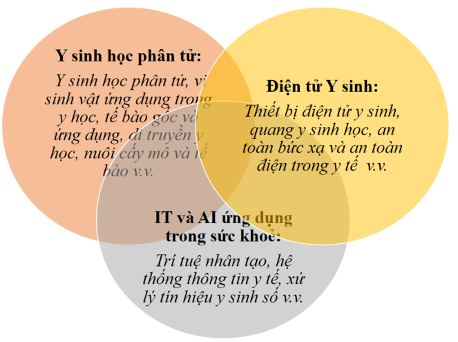 Ba khối kiến thức của chương trình thạc sĩ Công nghệ kỹ thuật y sinh.