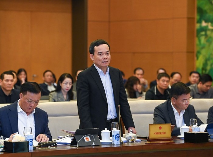 Phó Thủ tướng Chính phủ Trần Lưu Quang phát biểu ý kiến tại phiên họp. (Ảnh: Duy Linh)