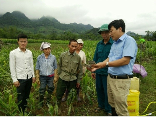 Tiến sĩ Nguyễn Hồng Yến – Chi cục Trưởng Chi cục Trồng trọt và Bảo vệ thực vật Hòa Bình – Cựu sinh viên K34BVTV (áo xanh, ngoài cùng bên phải) đang chỉ đạo phòng trừ sâu keo mùa thu trên ngô tại Hòa Bình.