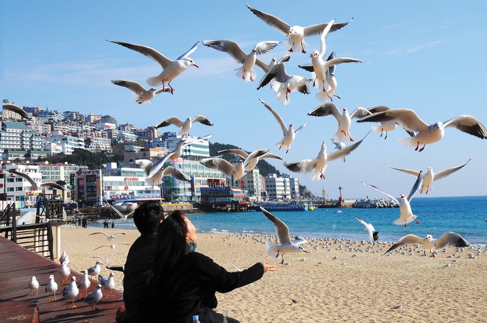 Haeundae Beach - Busan.jpg