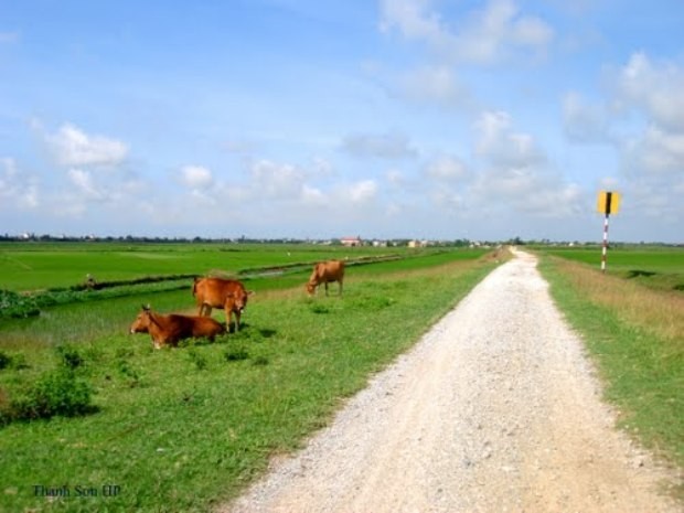 Làng quê yên bình xã Giao Hương, nơi mà vợ chồng chị Hiên đã lớn lên với biết bao kỷ niệm. (Ảnh minh họa: Nguồn Internet)