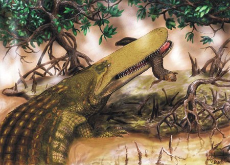 Loài cá sấu cổ đại với hộp sọ có hình dạng giống cái khiên. (Nguồn: Henry Tsai, Đại học Missouri).
