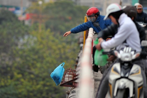 Theo quan niệm dân gian, cá chép là phương tiện để ông Công, ông Táo lên chầu trời, báo cáo những việc gia chủ đã làm trong năm qua. Vì thế, sáng 23 tháng chạp, cầu Chương Dương tấp nập cảnh thả cá và tro hương.