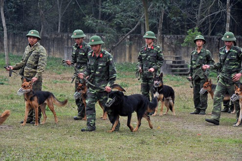 Trường trung cấp huấn luyện chó nghiệp vụ thuộc Bộ tư lệnh Bộ đội Biên phòng đóng quân tại xã Vật Lại, huyện Ba Vì (Hà Nội) với hơn 500 huấn luyện viên và 500 chó ngày đêm tập luyện sẵn sàng làm nhiệm vụ.