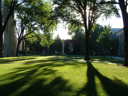 Đại học Princeton, Hoa Kỳ: Trường đại học Princeton nằm ở bang New Jersey, Mỹ. Ngôi trường được xây dựng theo phong cách Gothic với những mái nhọn, những kiến trúc bằng đá xám cùng những khoảng xanh xen kẽ.