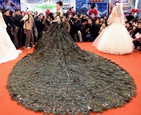 Lông công rất đẹp nhưng ý nghĩ mặc một chiếc váy cưới lông công trong ngày trọng đại xem ra hơi lập dị. Đây là sản phẩm của một nhà thiết kế người Trung Quốc. Nó được làm từ 2009 cọng lông công và phải mất 2 tuần, những người thợ thủ công mới hoàn thành được tác phẩm này. Chiếc váy này có giá khoảng 1,9 triệu USD và được triển lãm tại một lễ hội áo cưới ở Nam Kinh (Trung Quốc) vào năm 2009. Xem thêm:Bất chấp nắng nóng, cô dâu hóa "thiên thần" với váy cưới cực "cool"