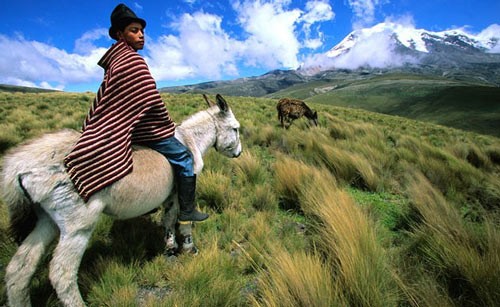 Chimborazo (Ecuador) – Điểm xa trung tâm Trái đất nhất: Điểm xa trung tâm Trái đất nhất không phải đỉnh Everest mà là núi lửa Chimborazo ở Ecuador.