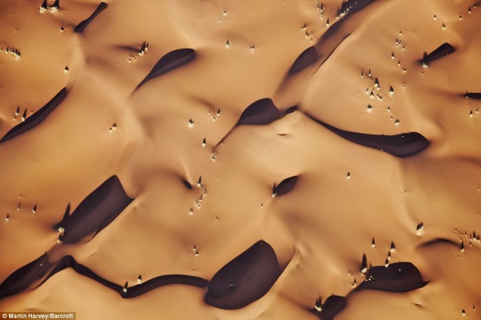 Những đụn cát ở sa mạc Namin (Namibia).