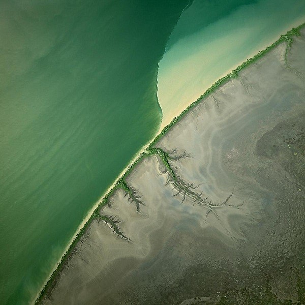 Một vành đai cây ngập mặn ngăn cách bờ sông South Alligator, Australia với đất liền. Ở vùng nước sâu, sông có màu xanh đậm, còn vùng nước nông lại lộ ra lớp bùn trầm tích màu vàng. Ảnh chụp trên máy bay từ độ cao 1.000m.