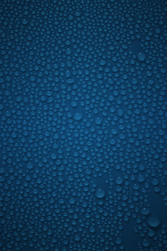 12 Dew Drops – iPhone Wallpaper