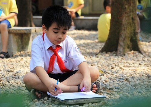 Kết quả khảo sát PASEC cho thấy, học sinh tiểu học Việt Nam vẫn yếu về việc giải quyết vấn đề thực tiễn. Ảnh minh họa Xuân Trung