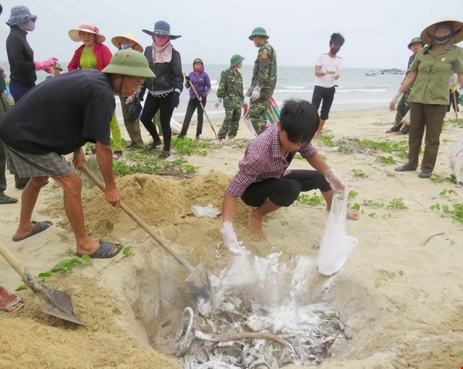 Cá chết ở miền Trung trong thời gian qua gây thiệt hại lớn về kinh tế đối với các tỉnh miền Trung. Ảnh minh họa PLO