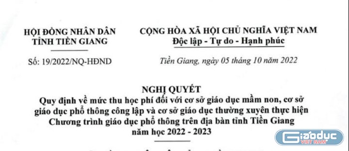 Nghị quyết 19/2022 của Tiền Giang - Ảnh chụp màn hình