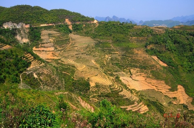 Ruộng bậc thang