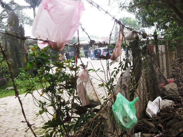 Túi nilon trên bờ rào của nhà hàng Vạn Tuế