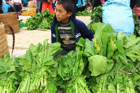 Nhưng cũng còn ánh mắt buồn thiu vì còn nhiều rau quá