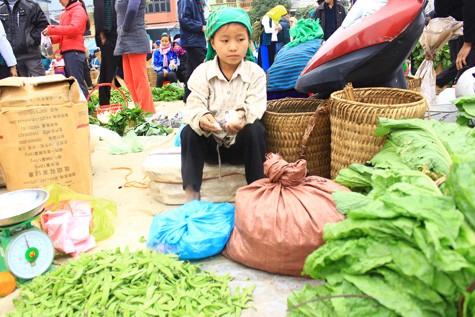 Em phải dậy từ 3h sáng đi bộ xuống chợ