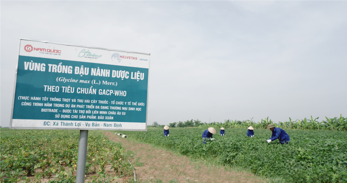 Biotrade EU - Dự án Phát triển đa dạng thương mại Sinh học của Liên minh châu Âu đã tài trợ cho vùng trồng đậu nành dược liệu.