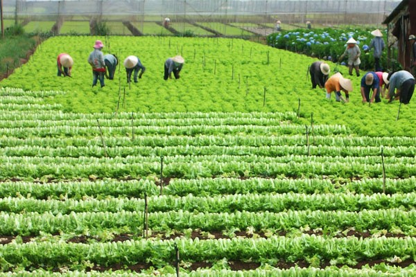 (Ảnh minh họa: Tạp chí Tài chính)